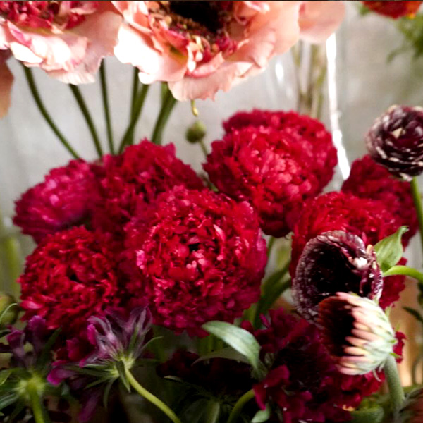 ハッカニブンノイチの記事の画像